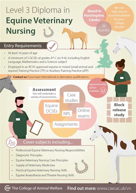 key skills and qualifications in animal training